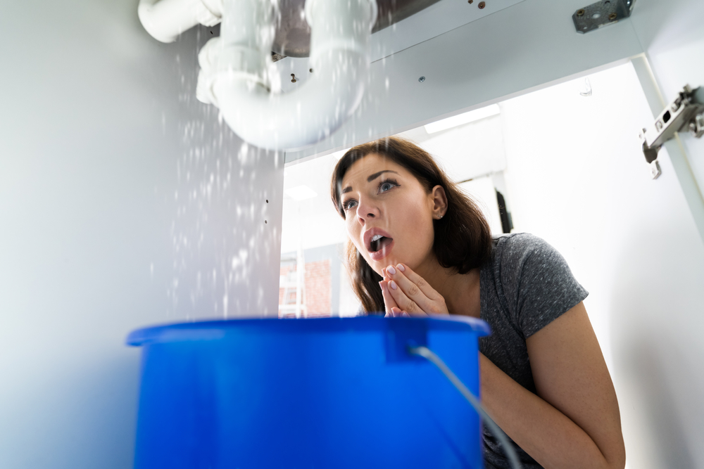 Woman With Emergency Plumbing Sink Leak Problem